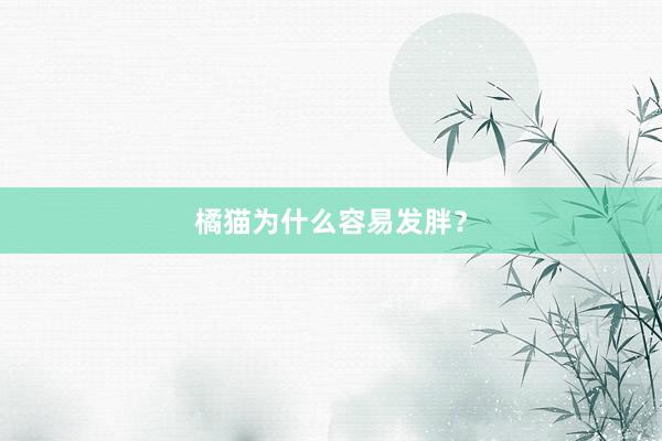橘猫为什么容易发胖?